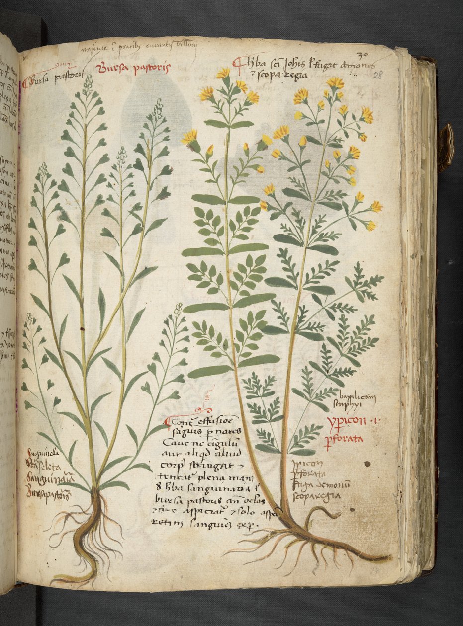 Dodaj MS 41623 