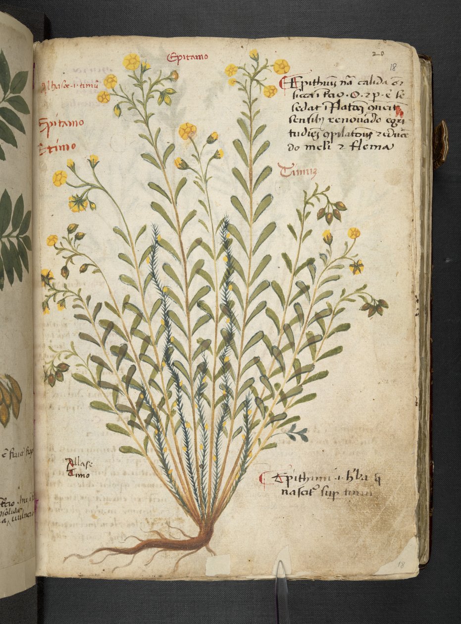 Dodaj MS 41623 