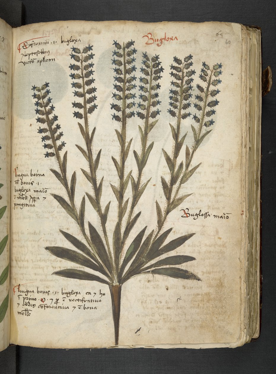 Dodaj MS 41623 