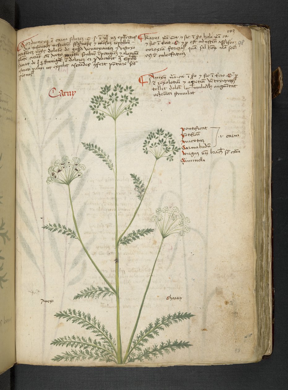 Dodaj MS 41623 