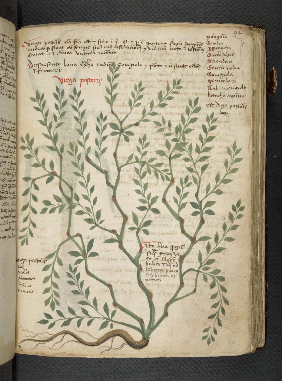 Dodaj MS 41623 
