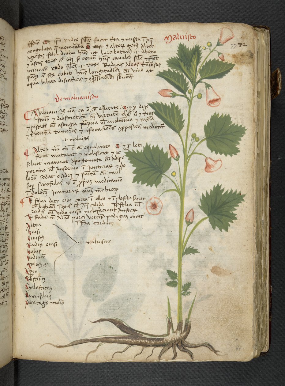Dodaj MS 41623 