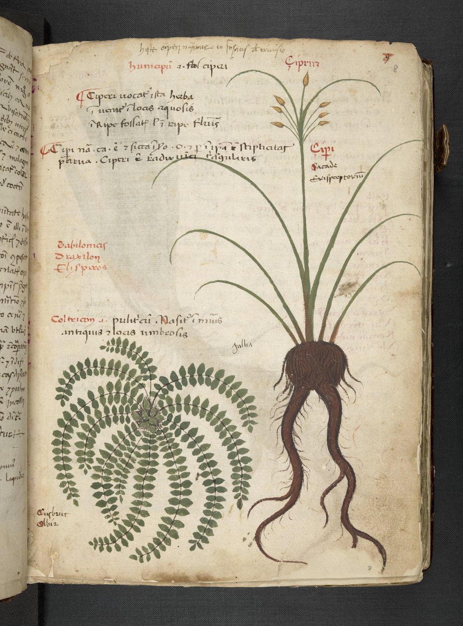 Dodaj MS 41623 