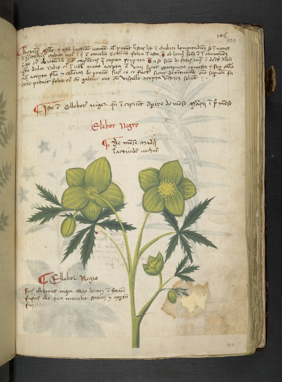 Dodaj MS 41623 