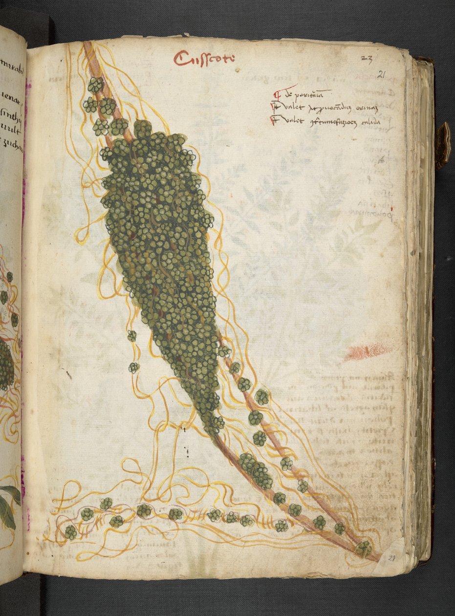 Dodaj MS 41623 