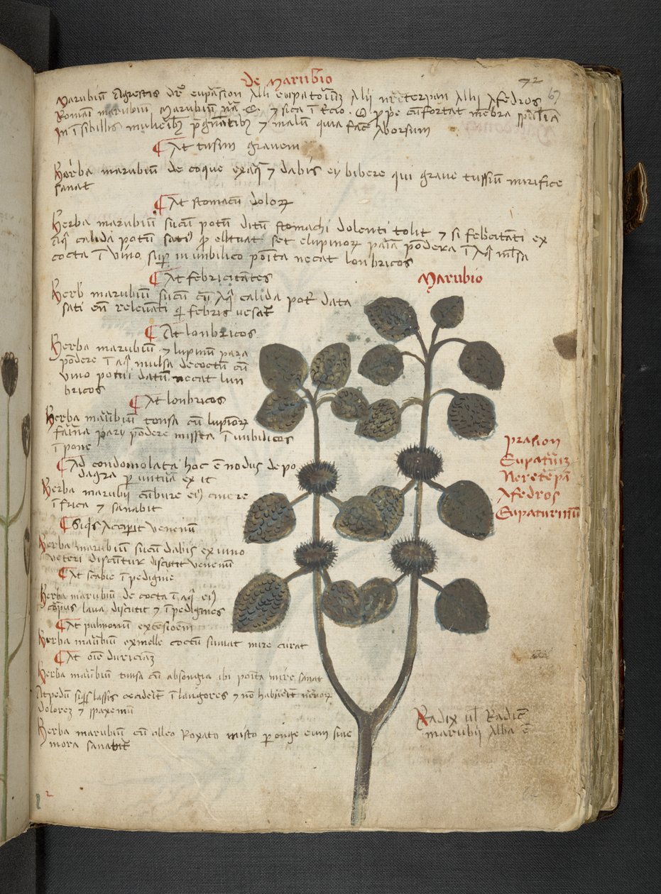 Dodaj MS 41623 