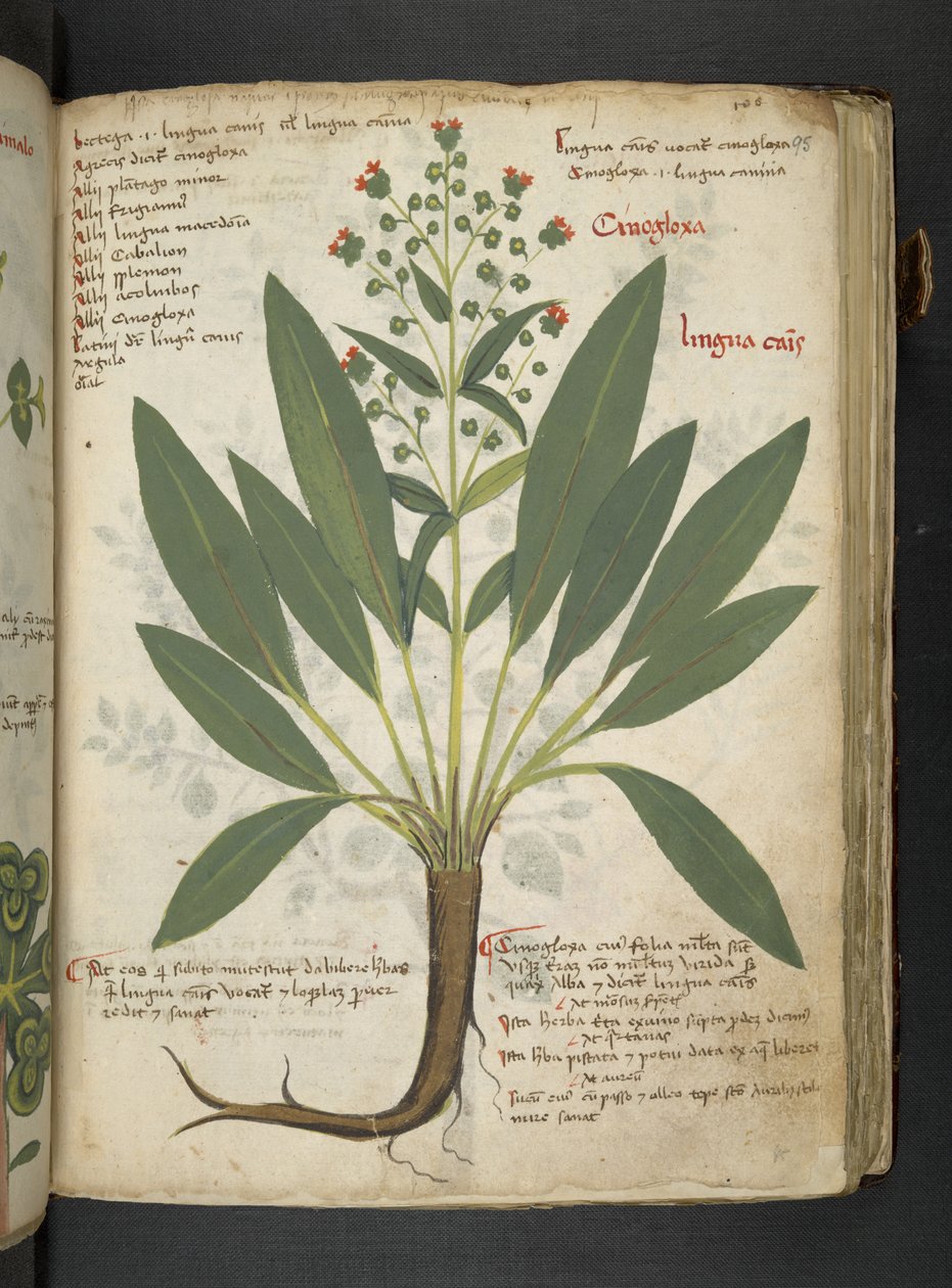 Dodaj MS 41623 