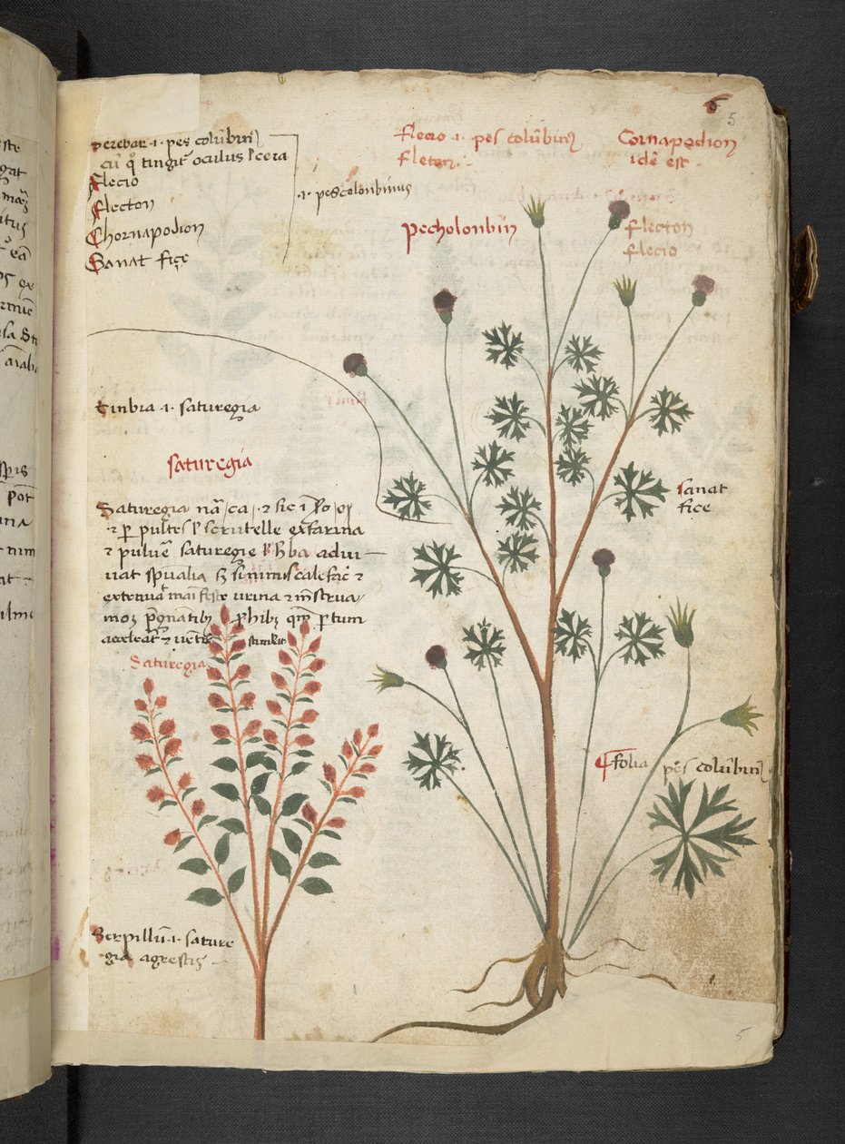 Dodaj MS 41623 