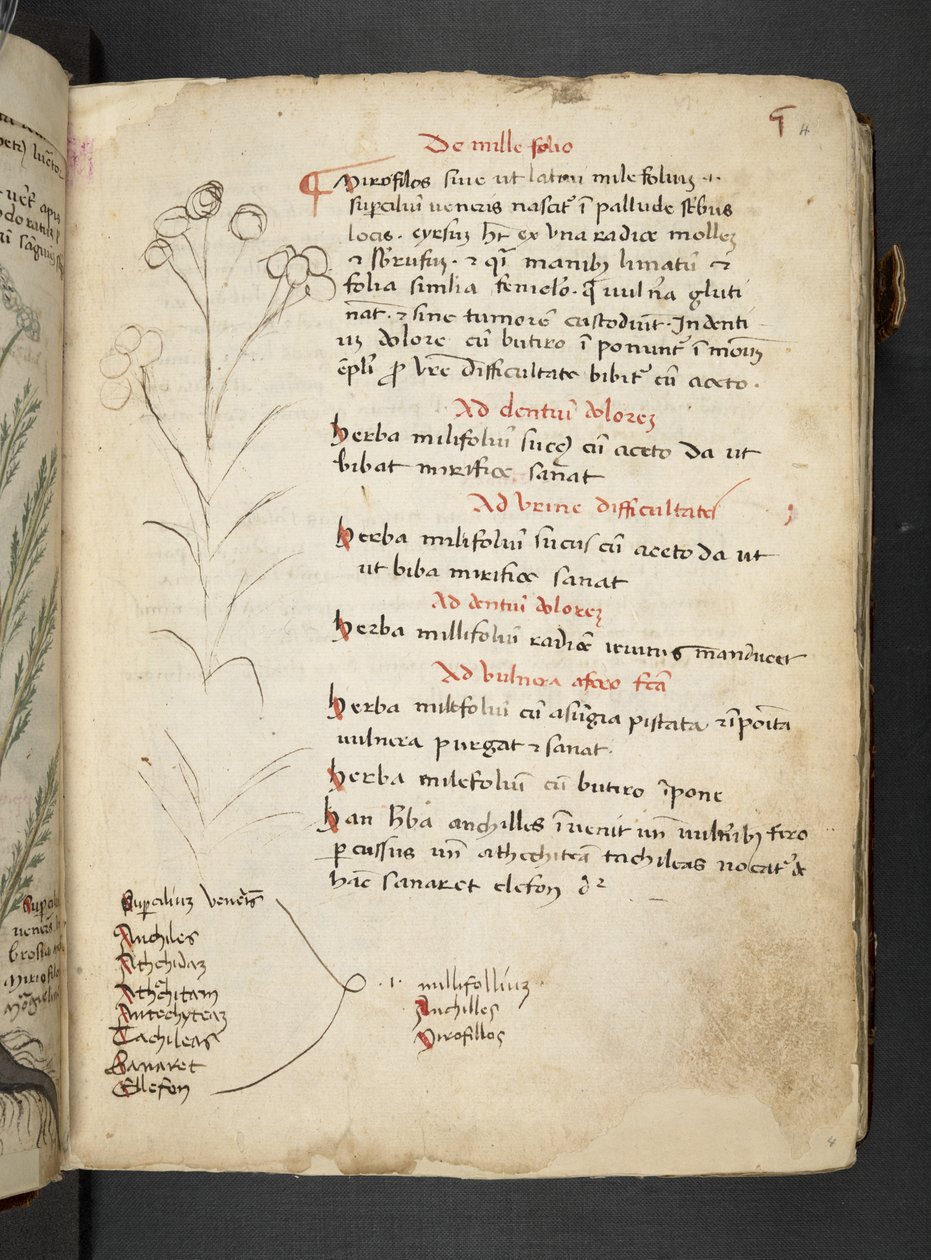Dodaj MS 41623 