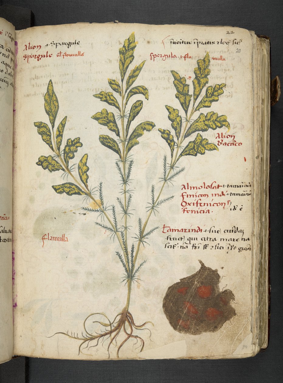 Dodaj MS 41623 