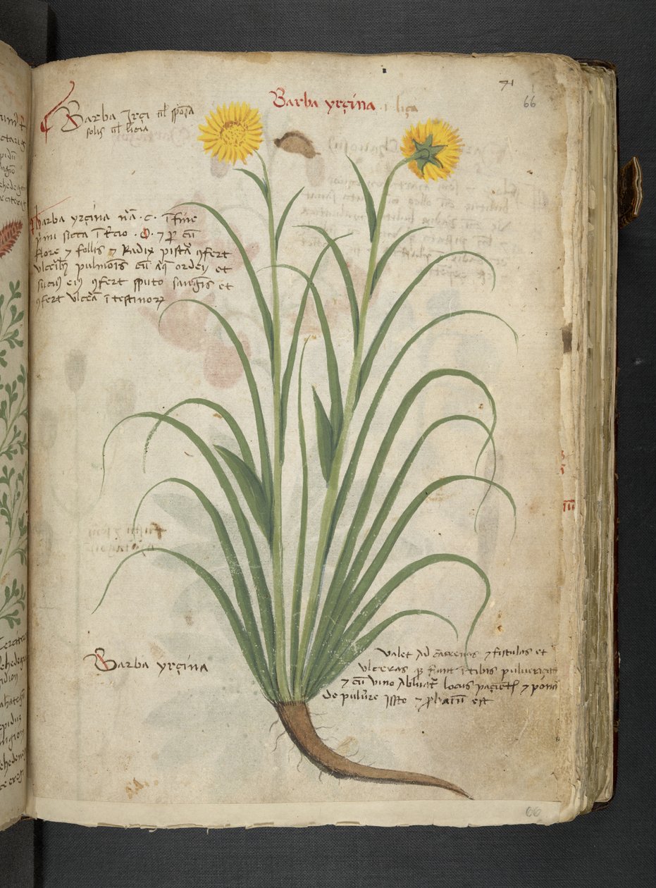 Dodaj MS 41623 