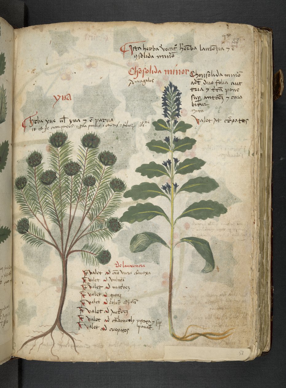 Dodaj MS 41623 