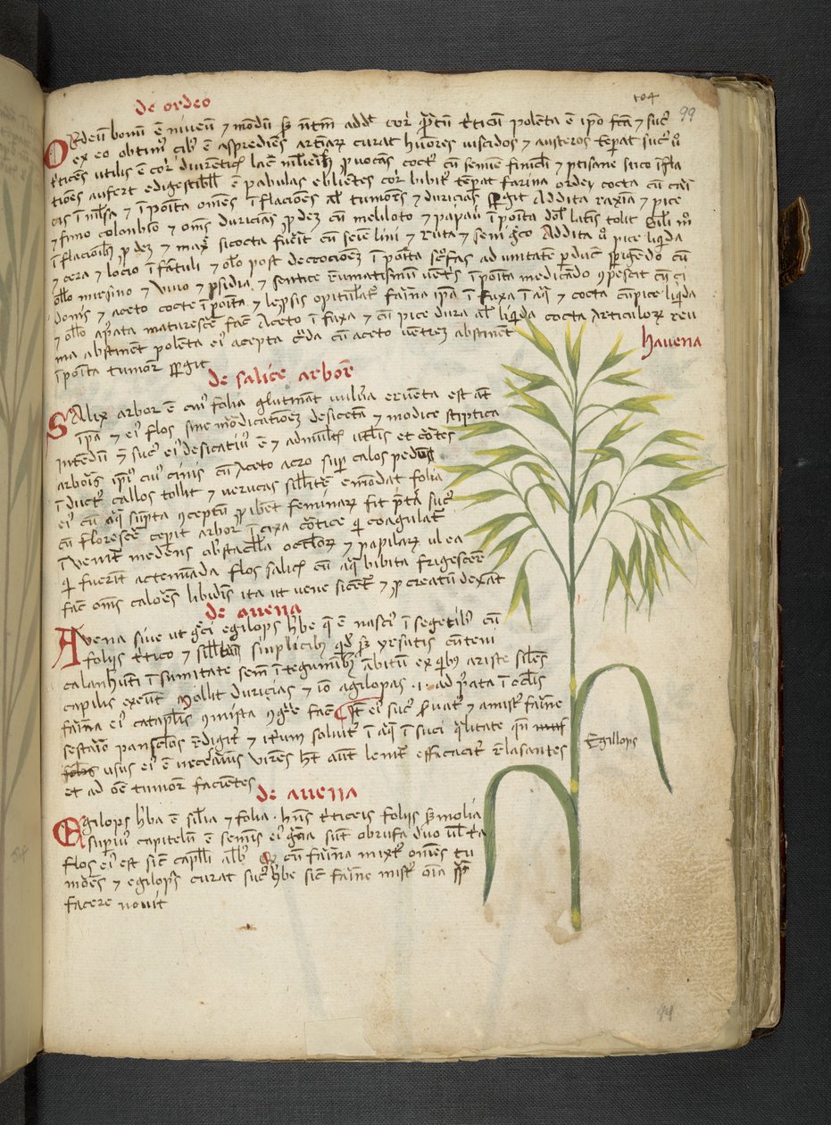 Dodaj MS 41623 