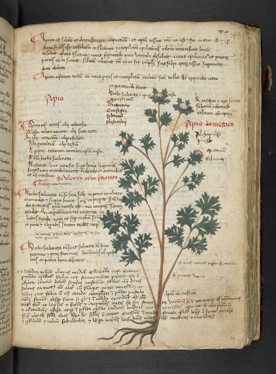 Dodaj MS 41623 