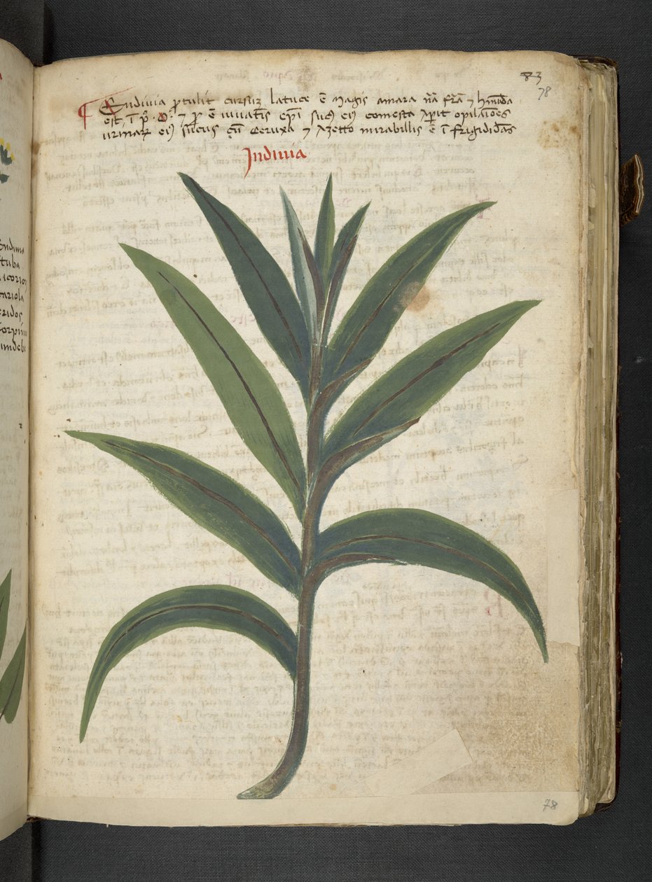 Dodaj MS 41623 