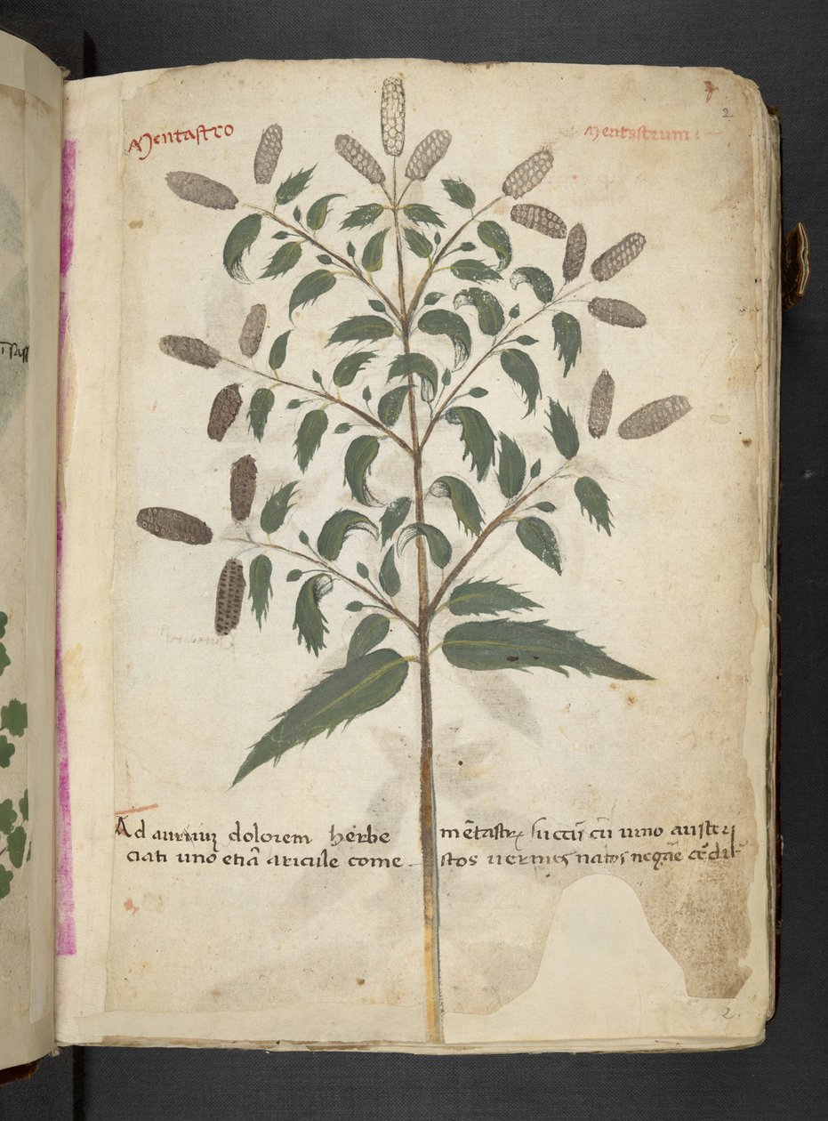 Dodaj MS 41623 