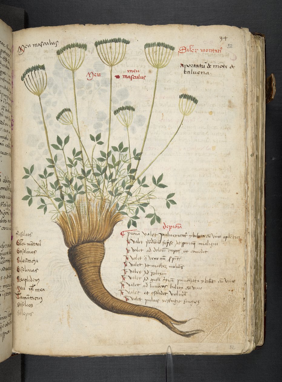 Dodaj MS 41623 