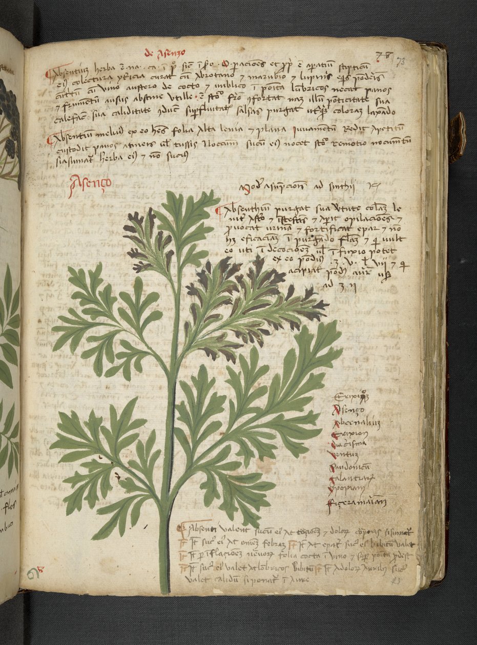 Dodaj MS 41623 