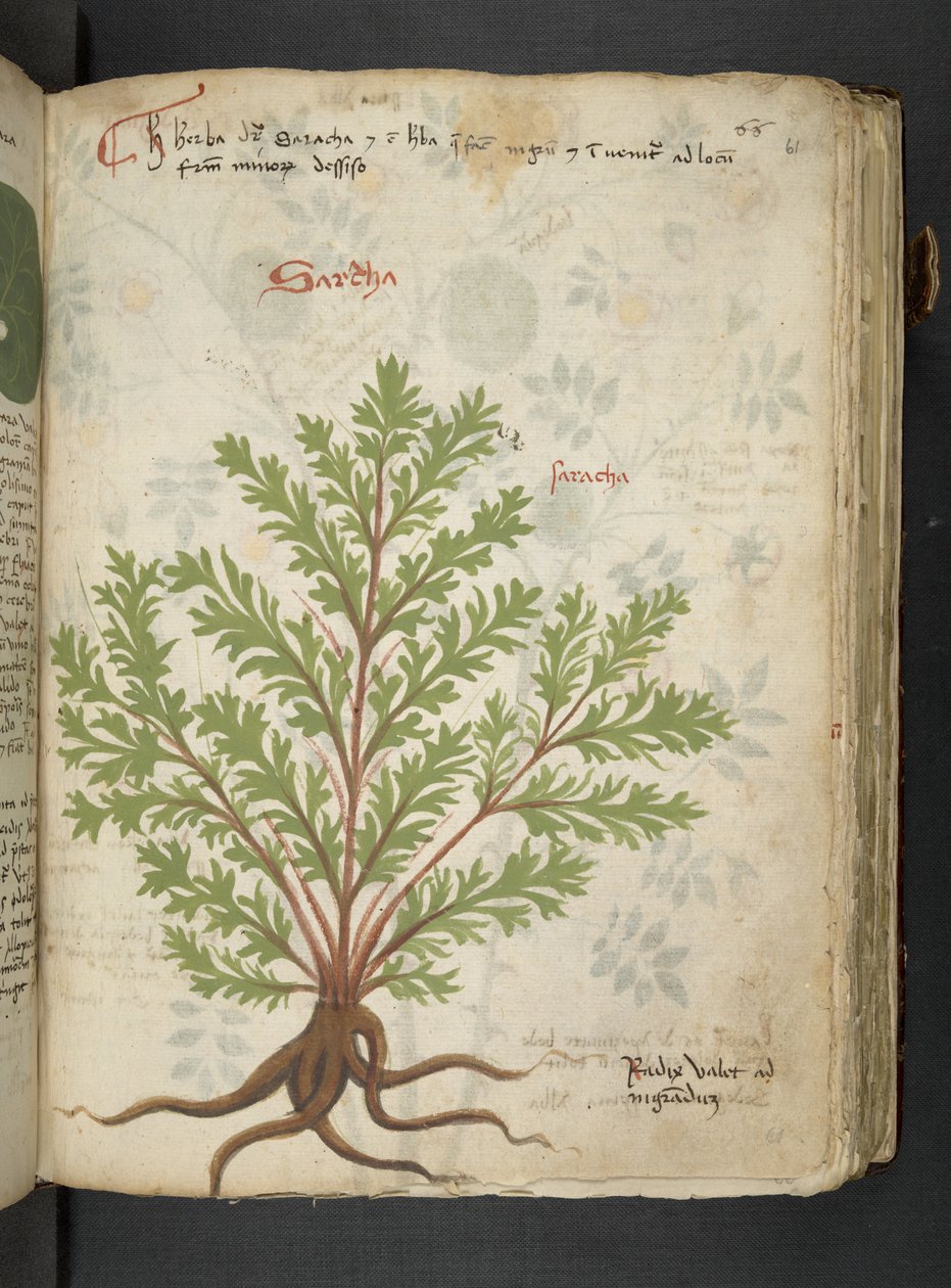 Dodaj MS 41623 