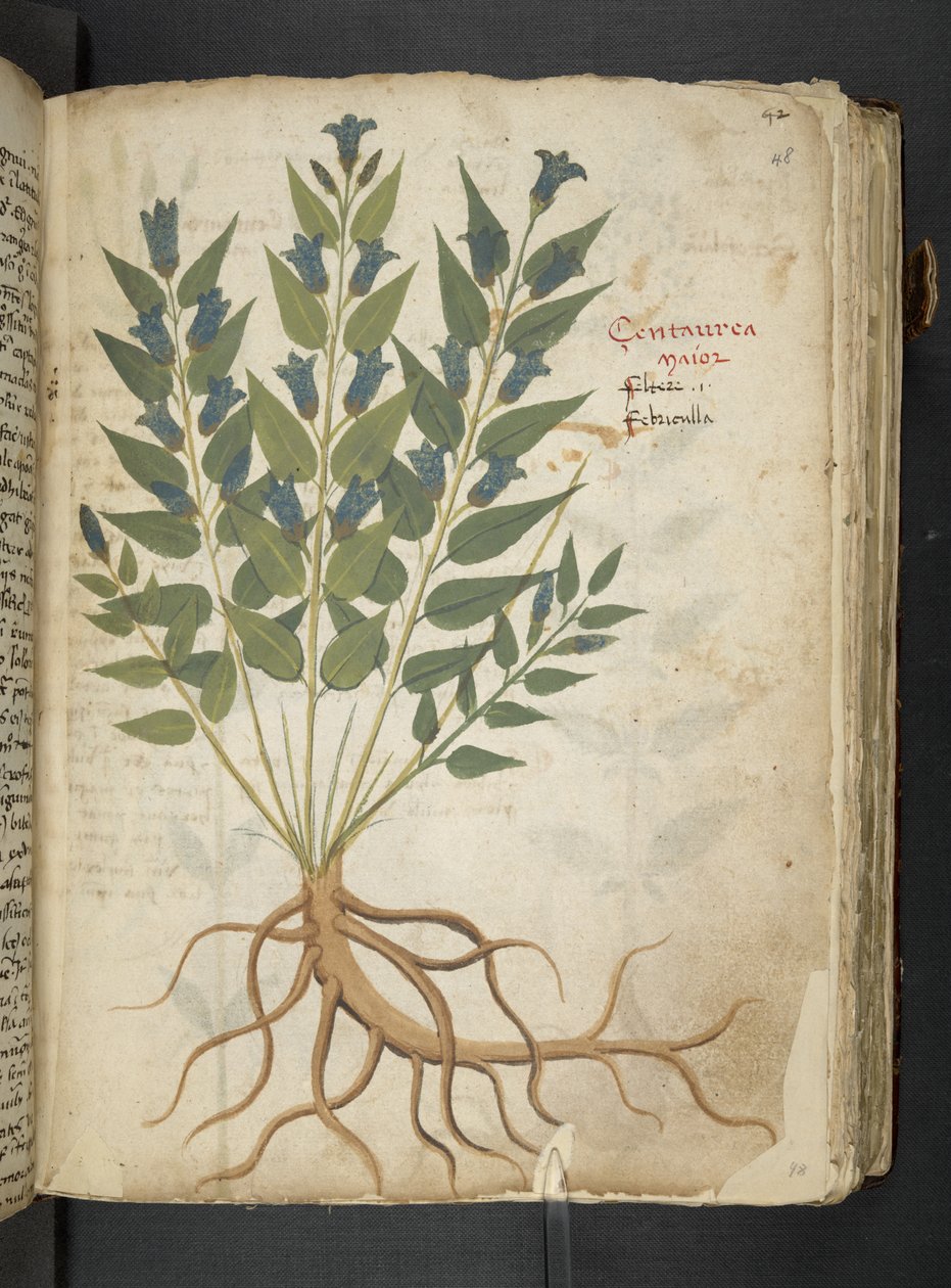Dodaj MS 41623 