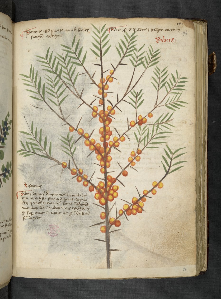 Dodaj MS 41623 