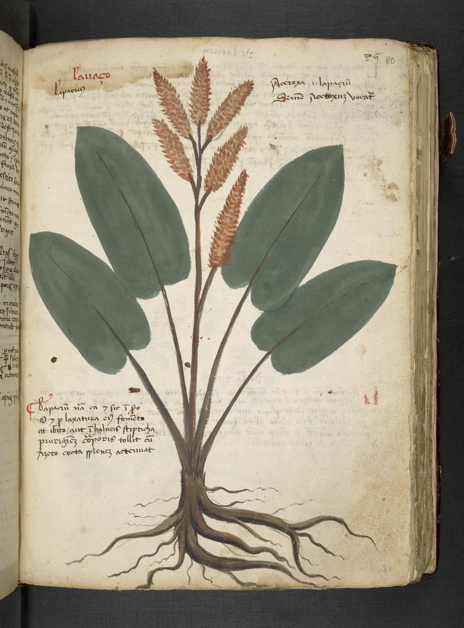 Dodaj MS 41623 