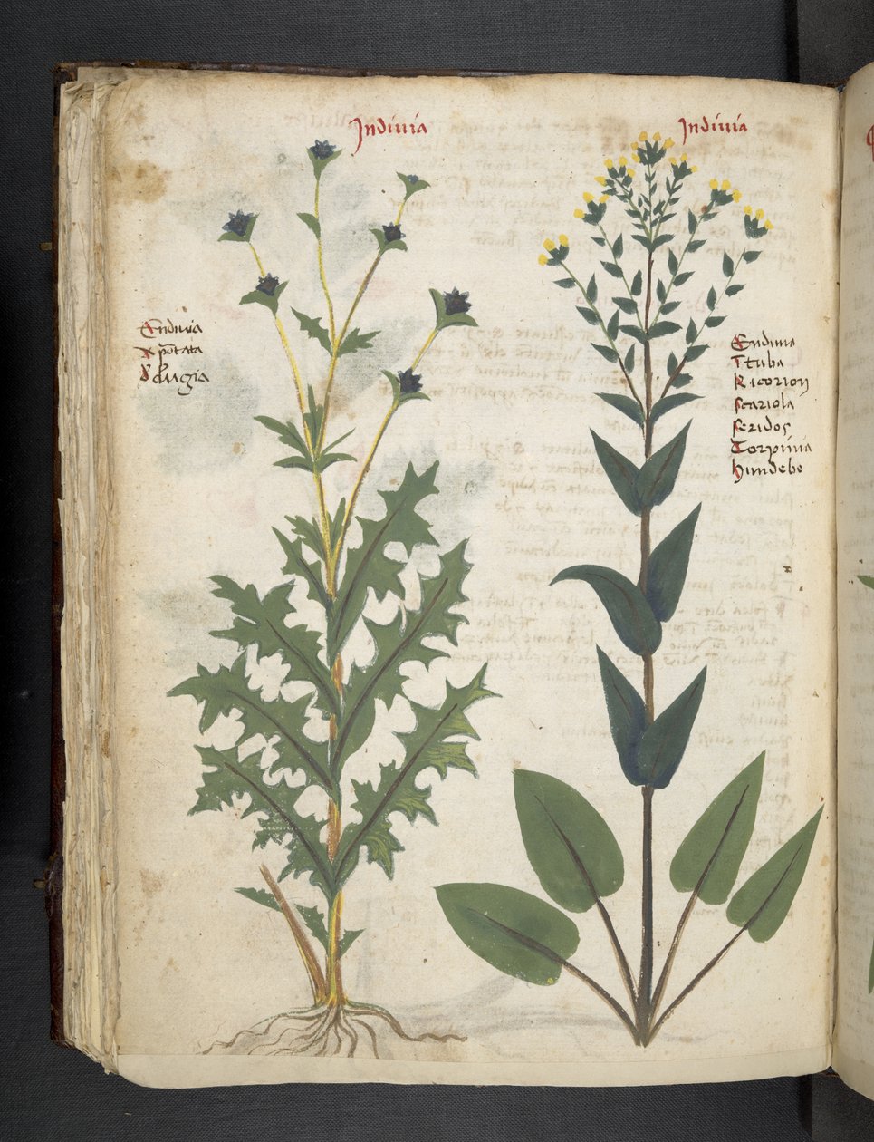 Dodaj MS 41623 