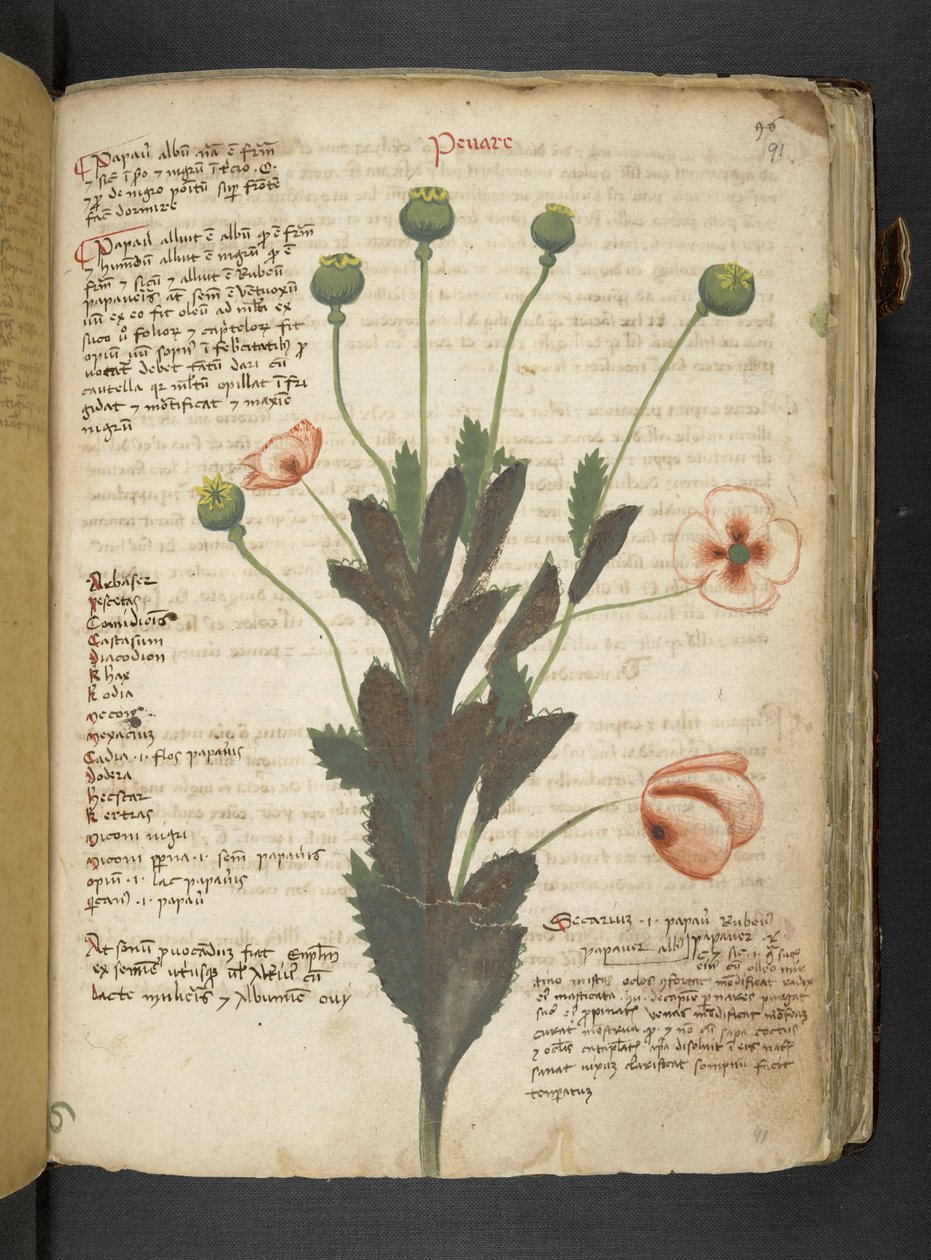 Dodaj MS 41623 