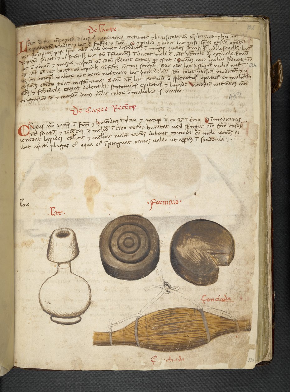 Dodaj MS 41623 f.124r 