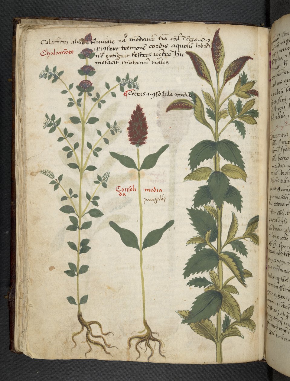 Dodaj MS 41623 f.30v 
