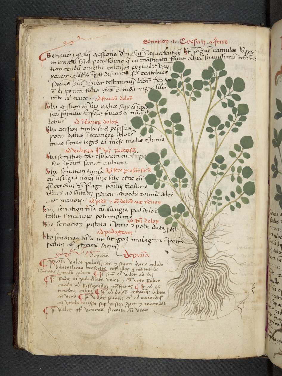 Dodaj MS 41623 f.32v 