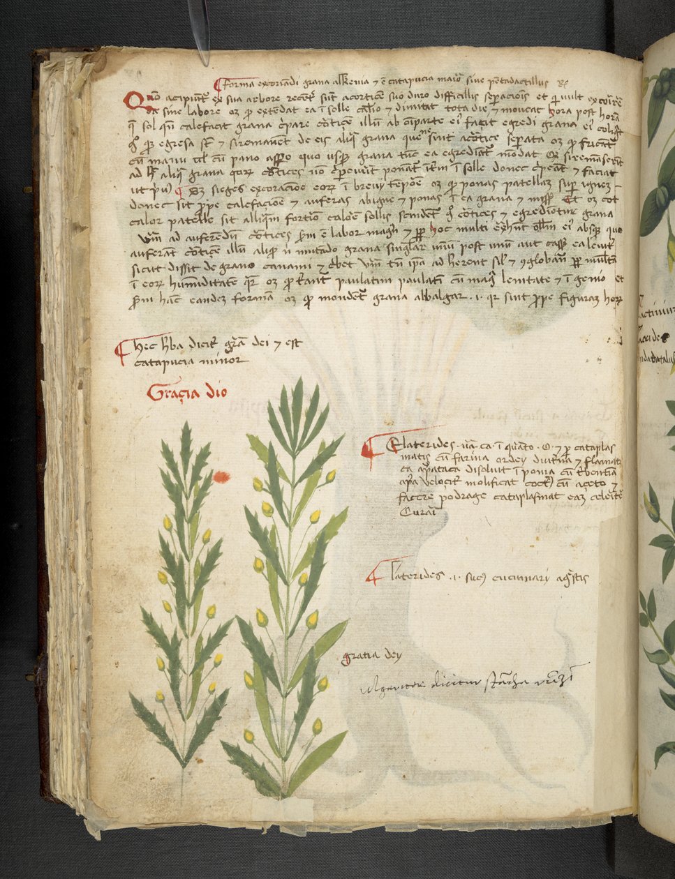 Dodaj MS 41623 f.39v 