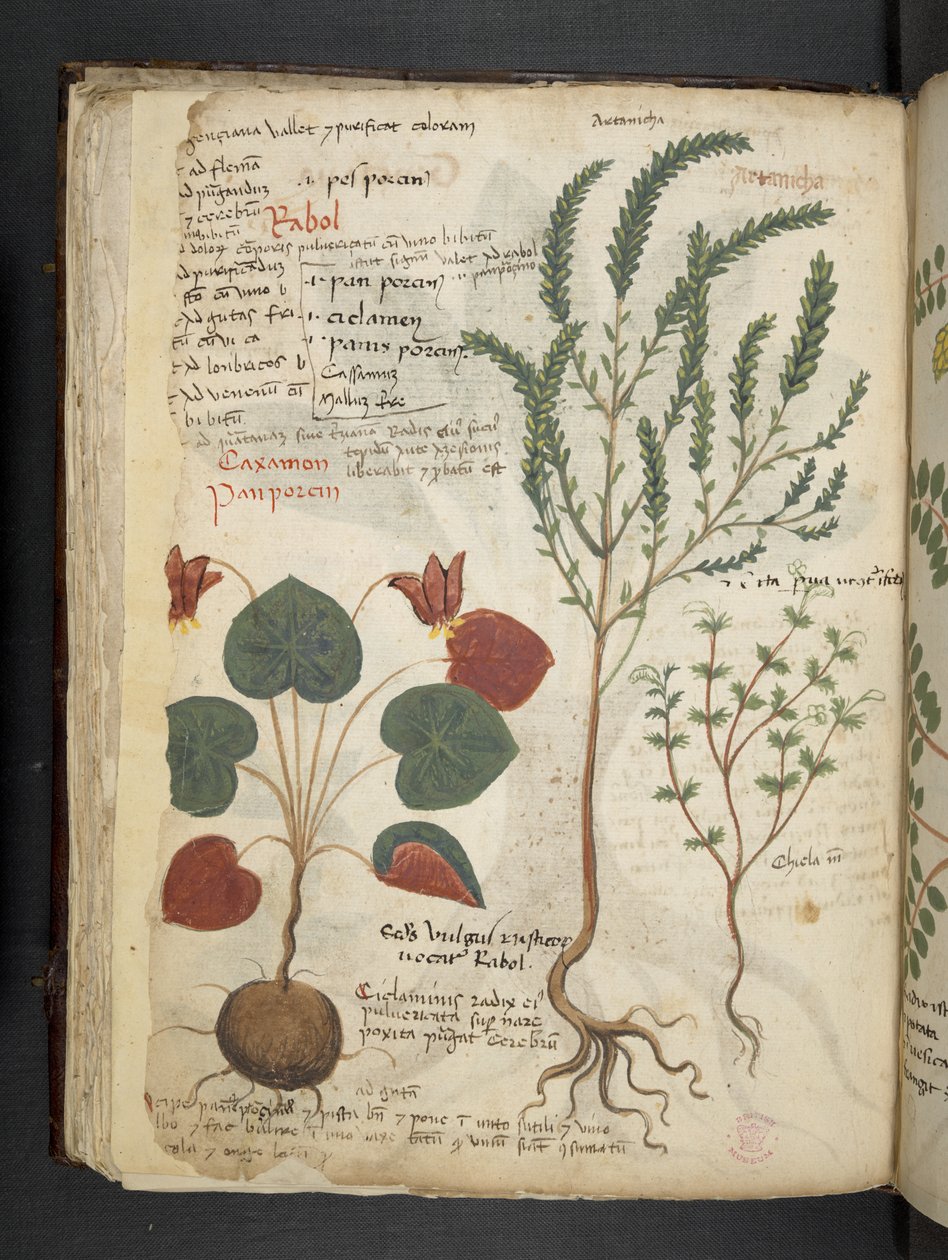 Dodaj MS 41623 f.40v 