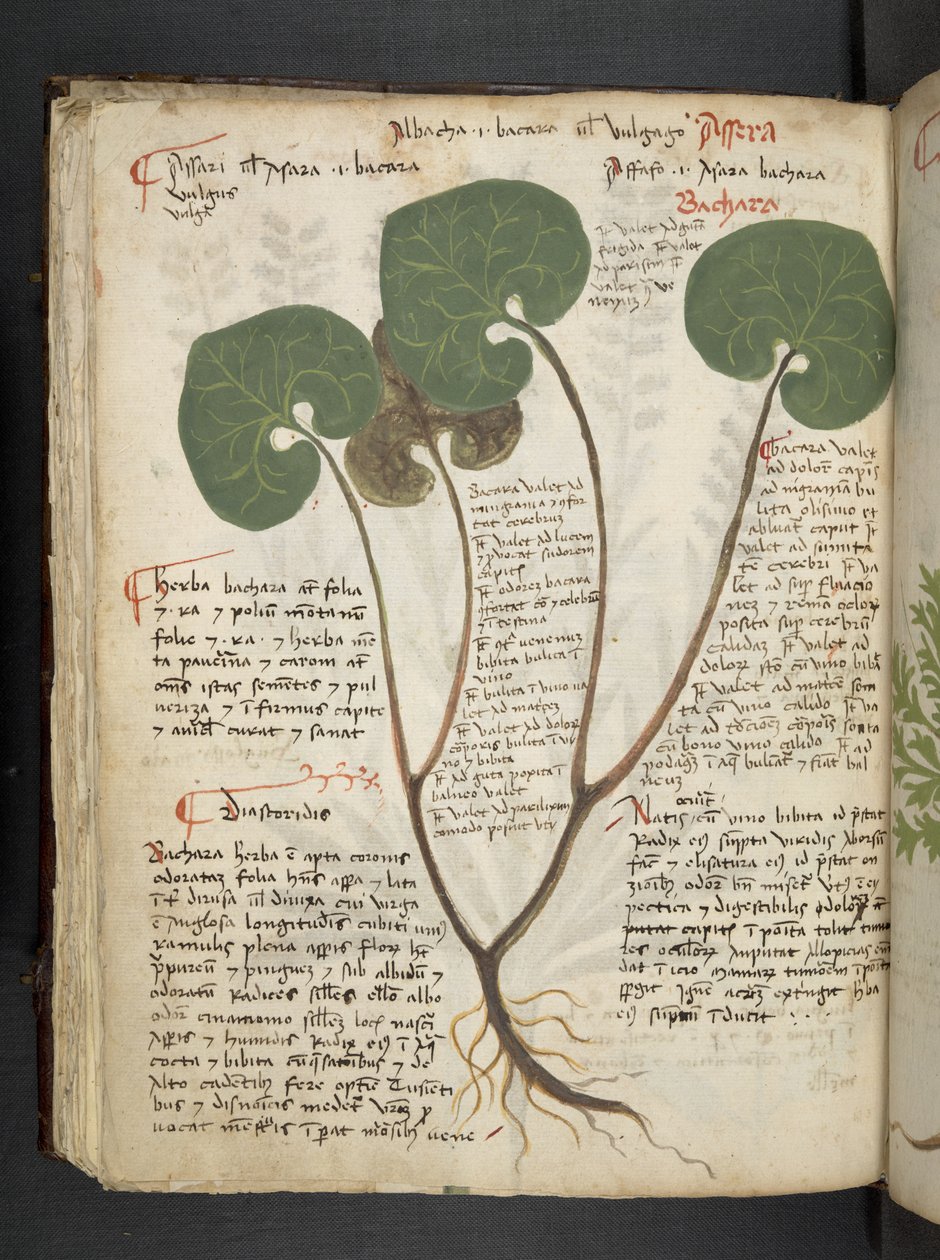 Dodaj MS 41623 f.60v 