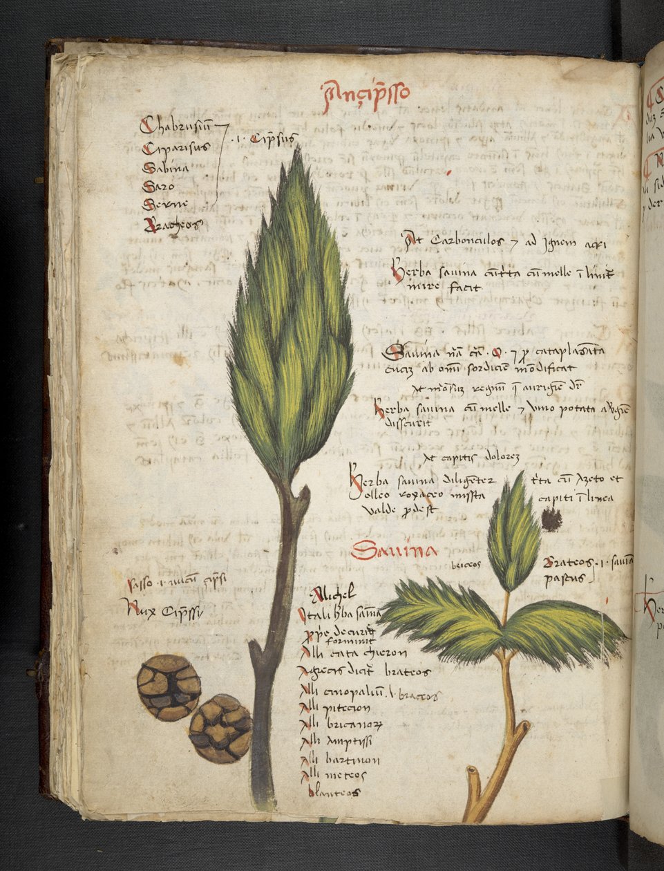 Dodaj MS 41623 f.62v 