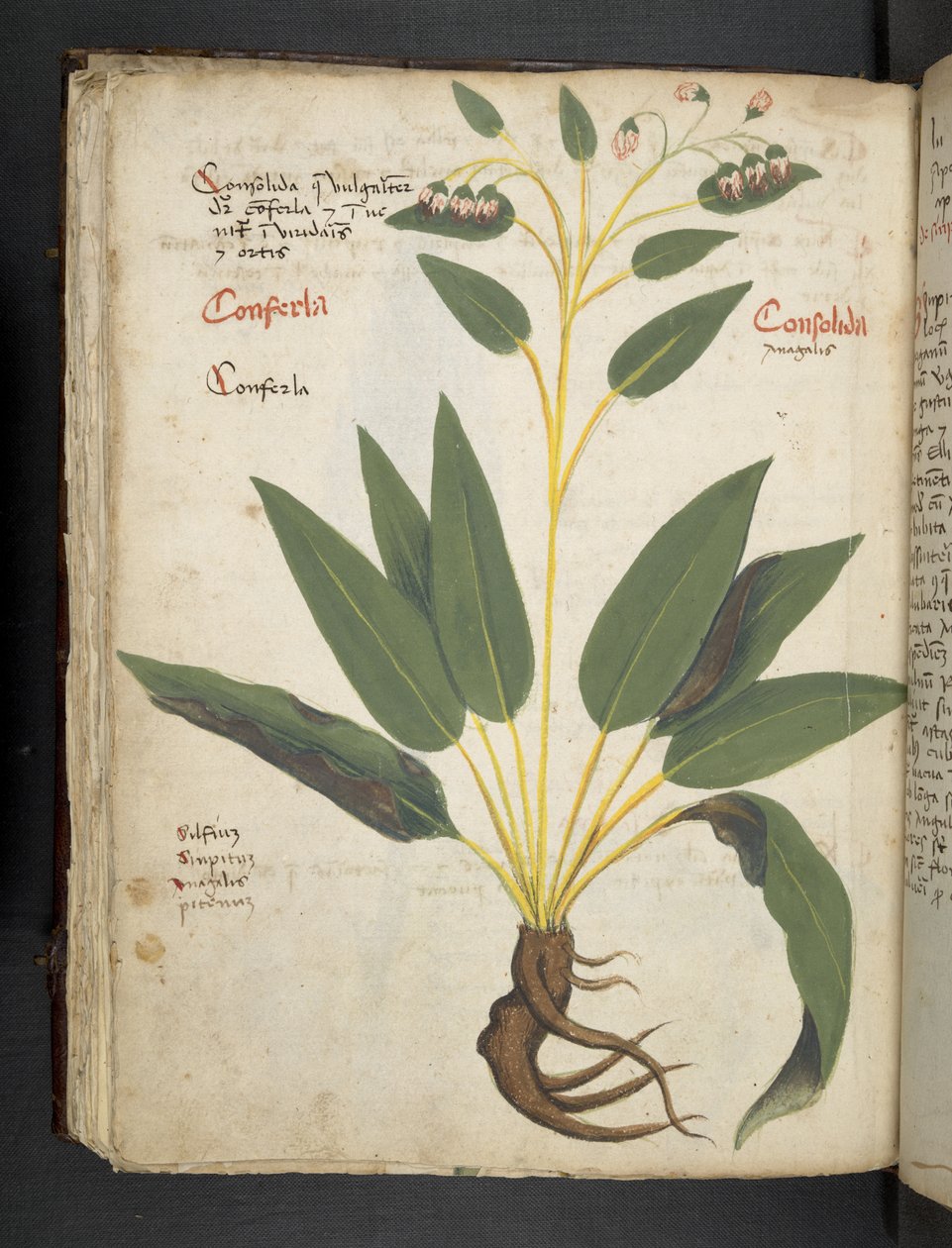 Dodaj MS 41623 f.63v 