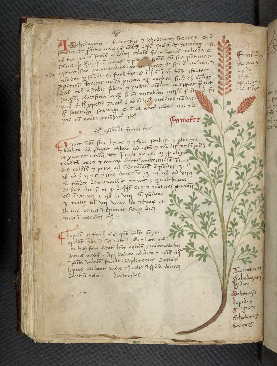 Dodaj MS 41623 f.65v 