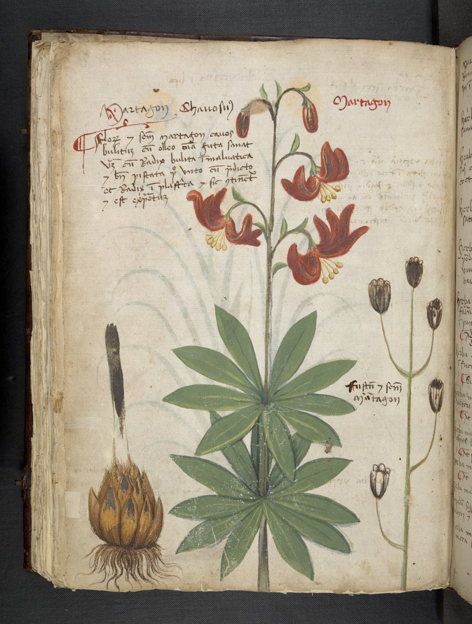 Dodaj MS 41623 f.66v 