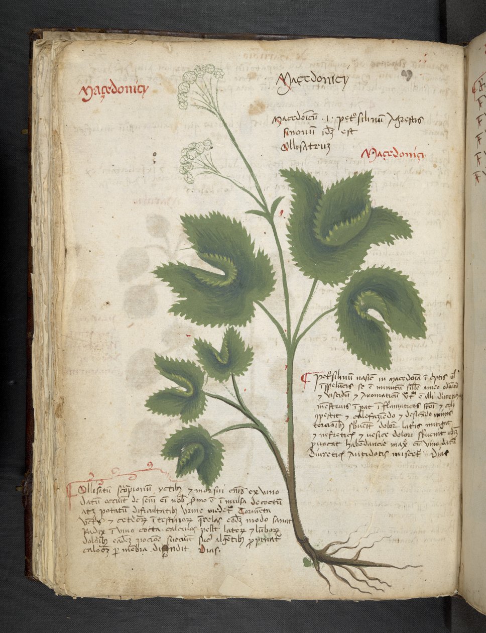 Dodaj MS 41623 f.67v 