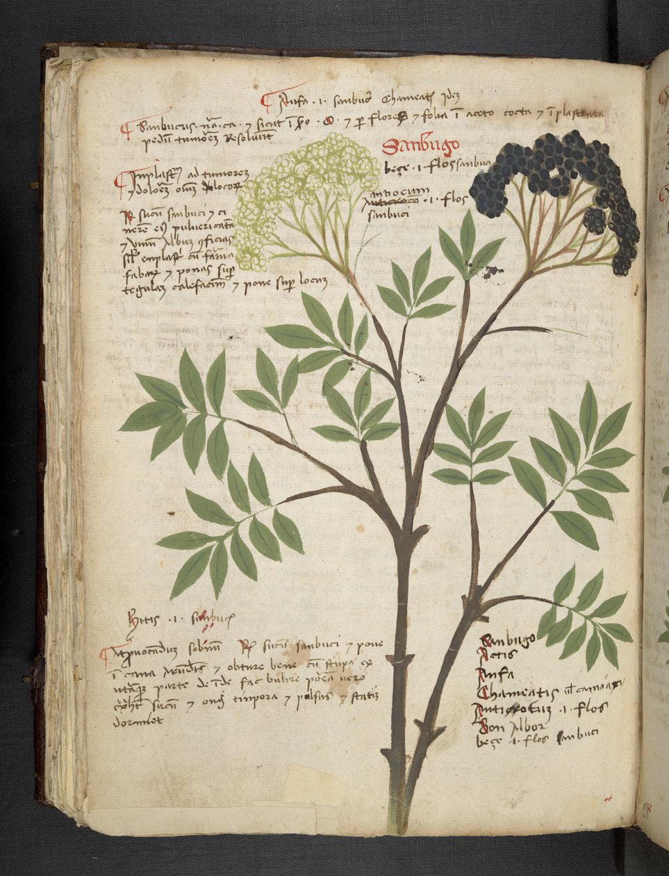Dodaj MS 41623 f.72v 