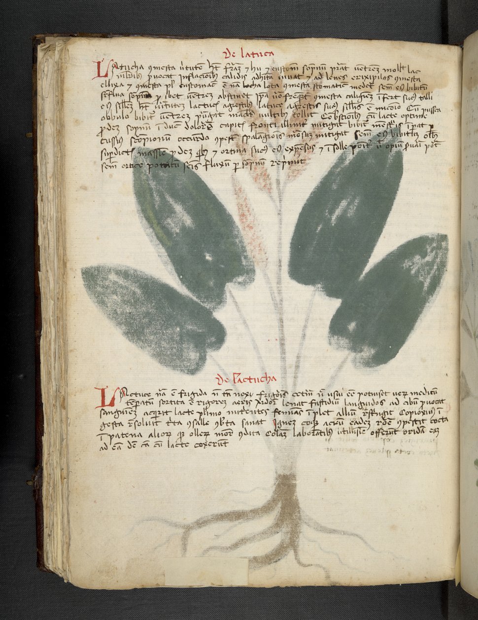 Dodaj MS 41623 f.80v 