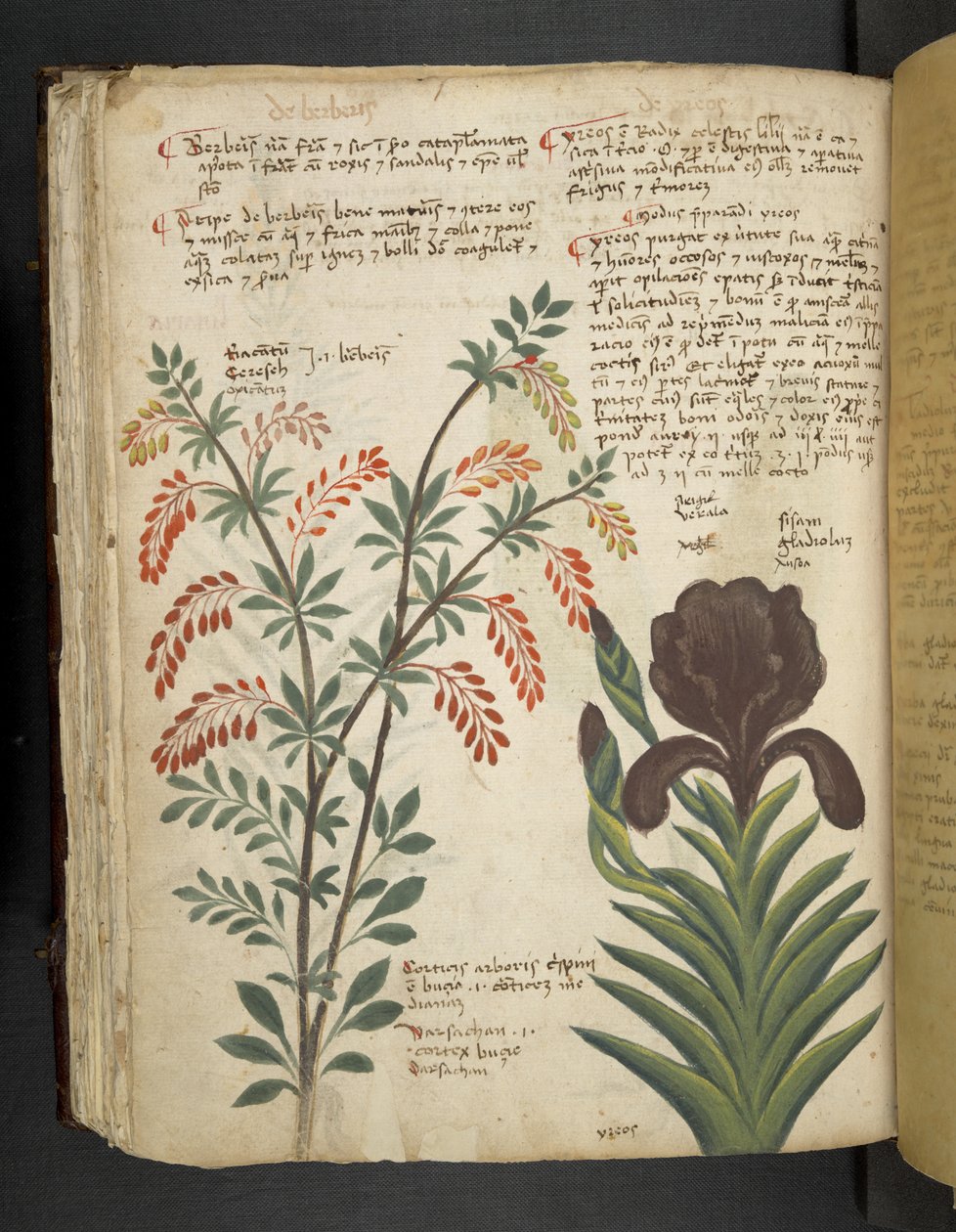 Dodaj MS 41623 f.89v 