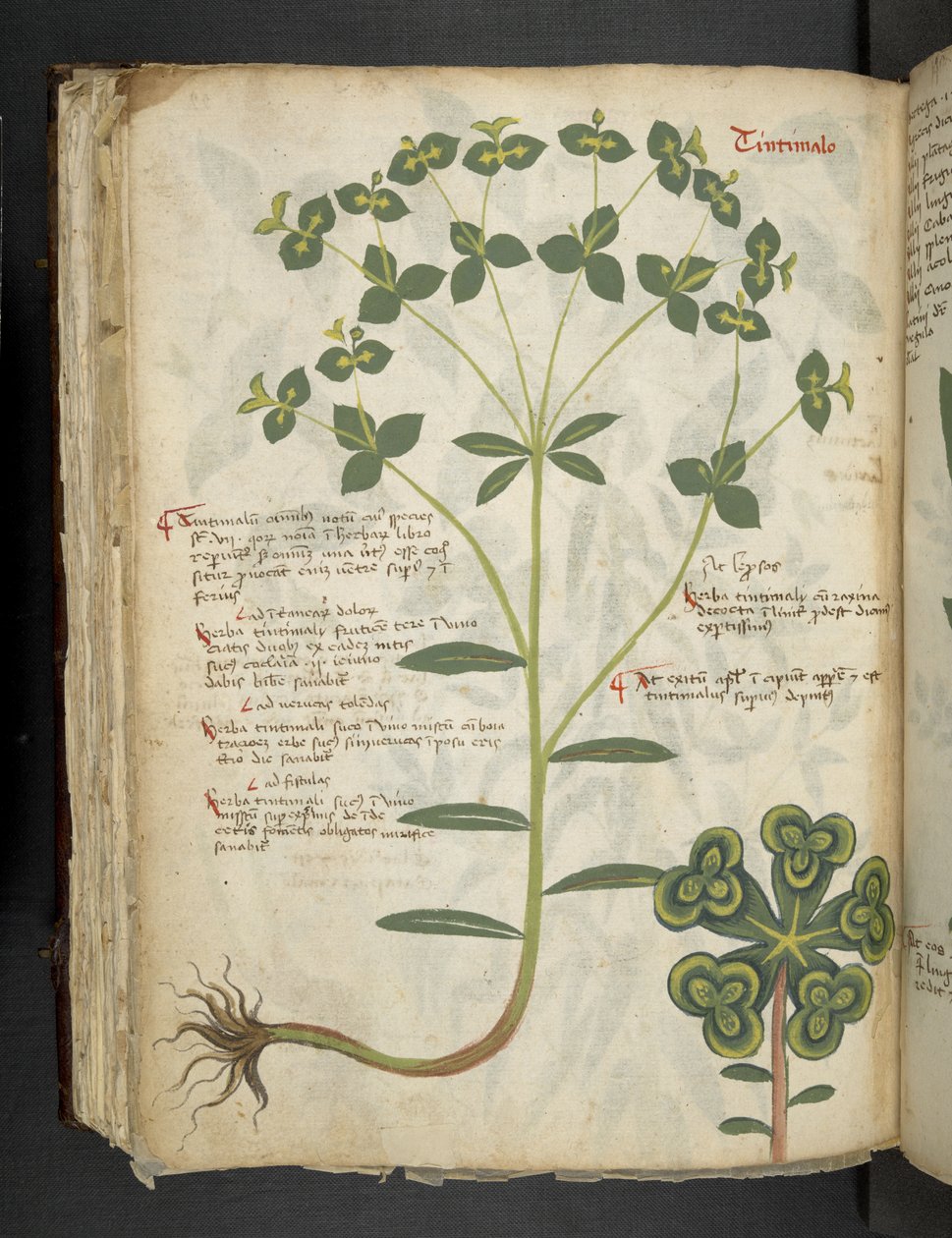 Dodaj MS 41623 f.94v 