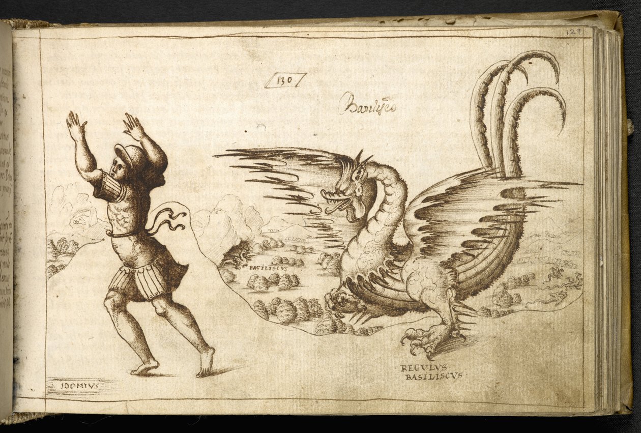 Dodaj MS 82955 f.129r Smok z „Historia Animalium” autorstwa Italian School