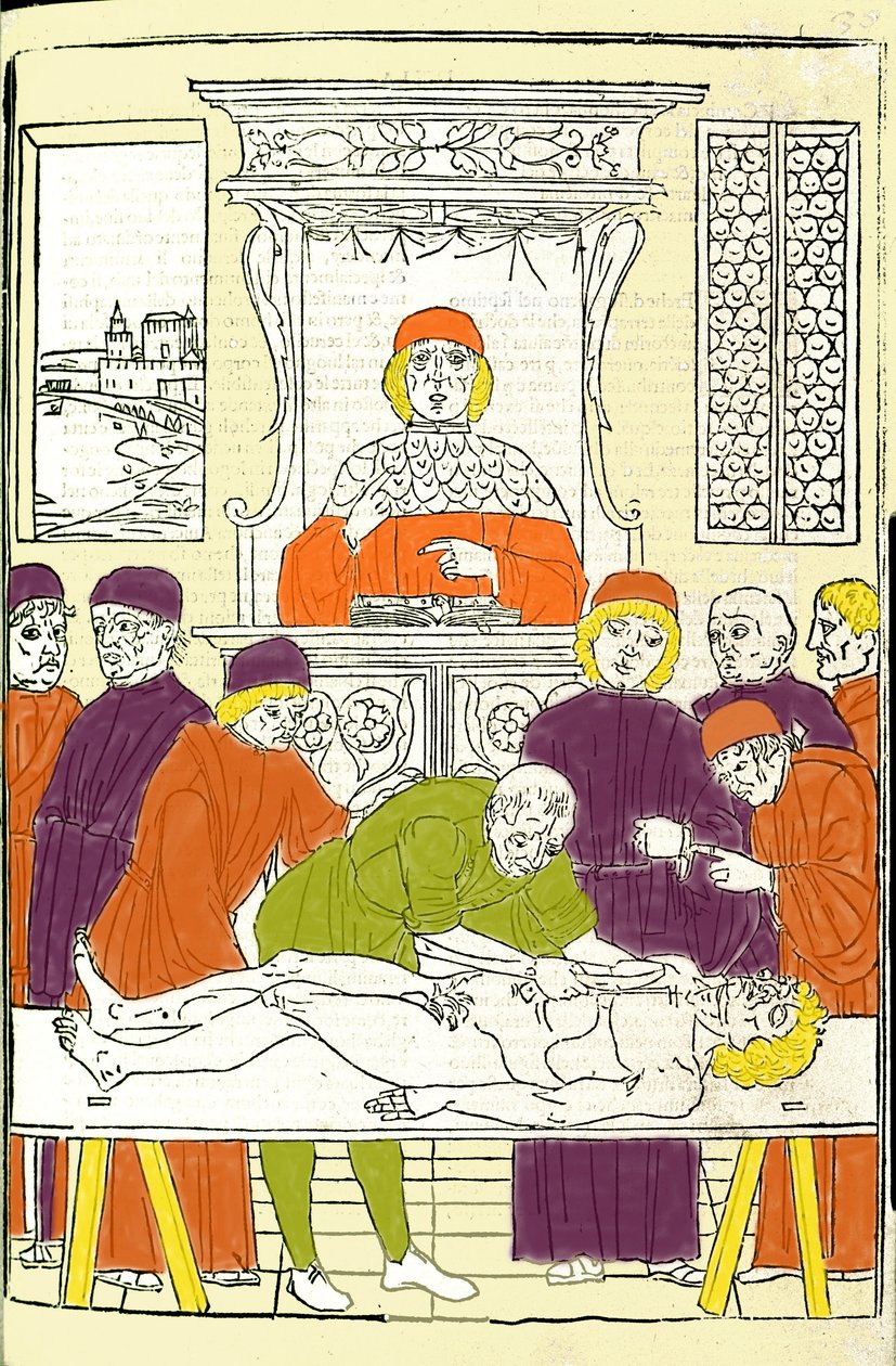 Rozcięcie anatomiczne. Grawerowanie z Treat of Medicine Gerolamo Cardano (Cardano) (Cardanus Hieronymus), Florencja autorstwa Italian School