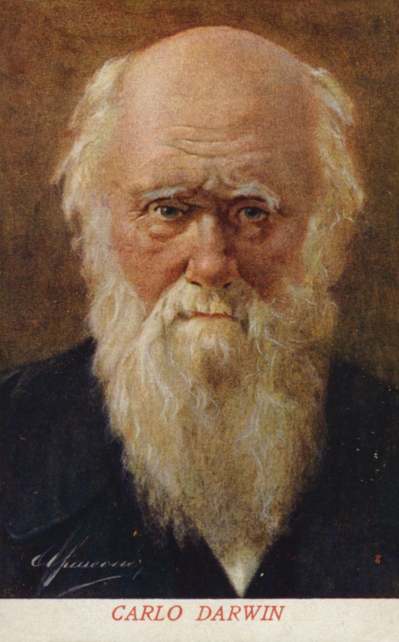 Charles Darwin (1809-1882), angielski przyrodnik (kolorowa litografia) autorstwa Italian School