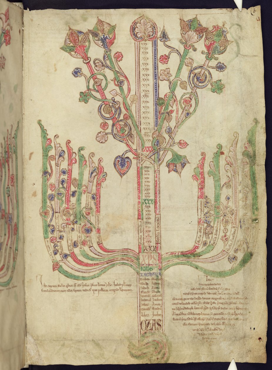 Corpus Christi Oxford MS 255A f.11r Drzewo przedstawiające genealogię postaci biblijnych w Nowym Testamencie autorstwa Italian School