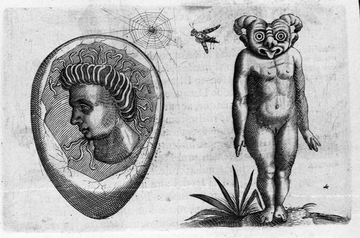 Różne typy ludzkich potworów: człowiek kopalny i potwór. Rycina z „Natury potworów, ich przyczyn i różnic” autorstwa włoskiego naukowca Fortunio Whilei (1577-1656). 1646 autorstwa Italian School