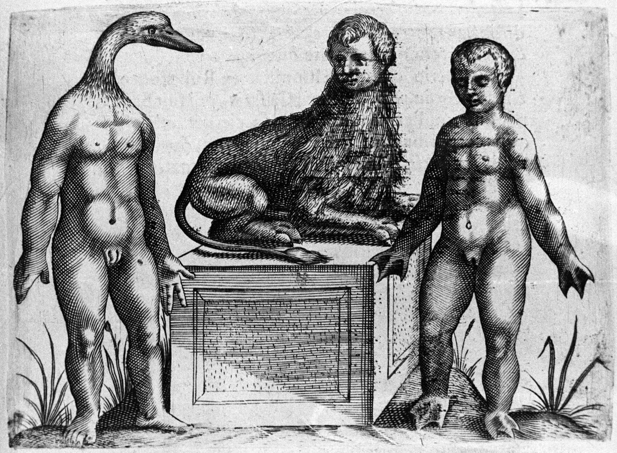 Różne typy ludzkich potworów: człowiek z głową kaczki, człowiek z ciałem lwa i inny z dłońmi w dłoniach. Rycina z „De monstrorum natura, causis et differentiis” włoskiego naukowca Fortunio Liceti (1577-1656). 1646 autorstwa Italian School