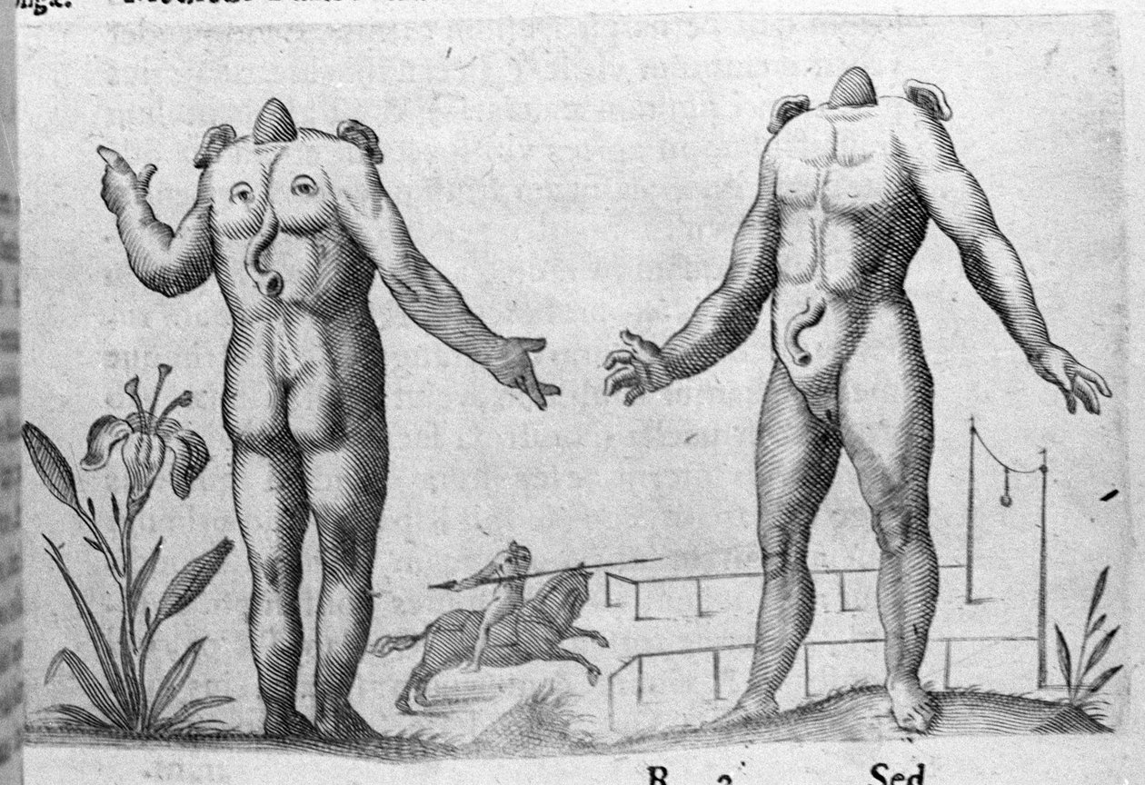 Różne typy ludzkich potworów: człowiek bez głowy. Rycina z „Natury potworów, ich przyczyn i różnic” autorstwa włoskiego naukowca Fortunio Whilei (1577-1656). 1646 autorstwa Italian School